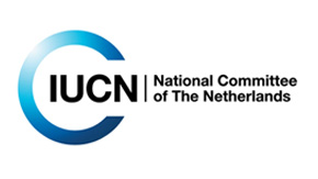 National Committee of tThe Netherlands